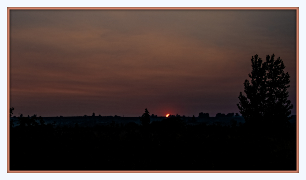 750_3369-Edit.jpg