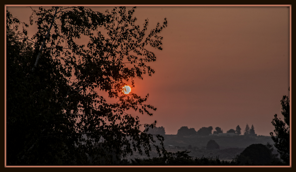 750_3513-Edit-001.jpg