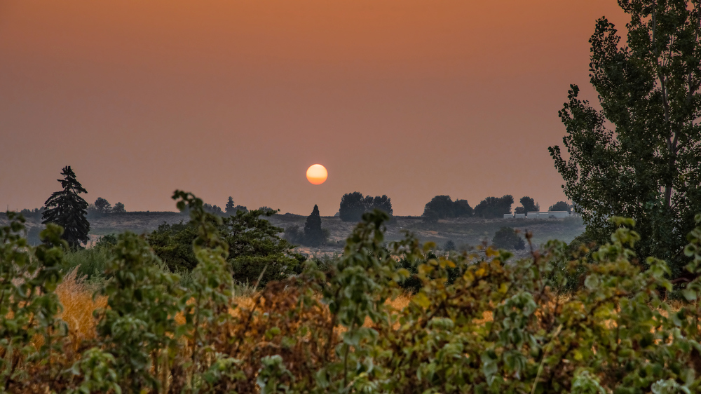 750_3874-Edit.jpg