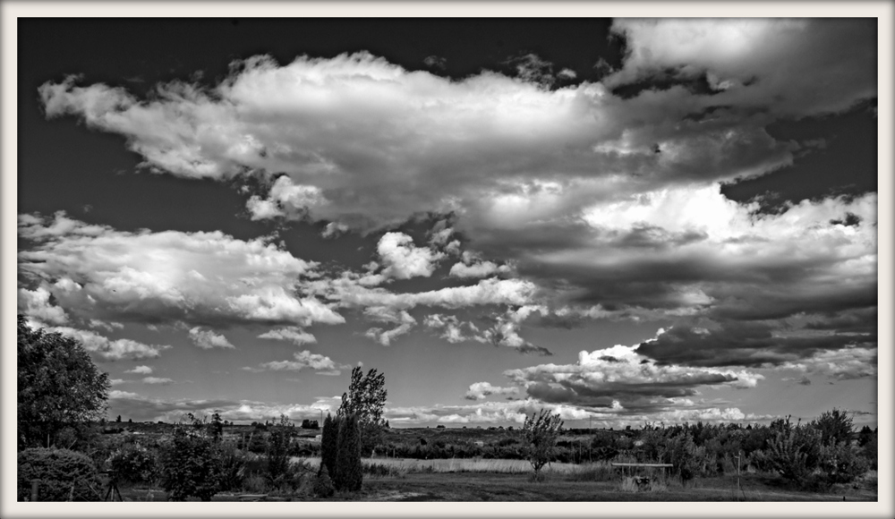 750_4003-Edit.jpg