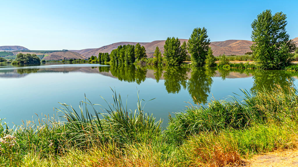 750_4186-HDR.jpg