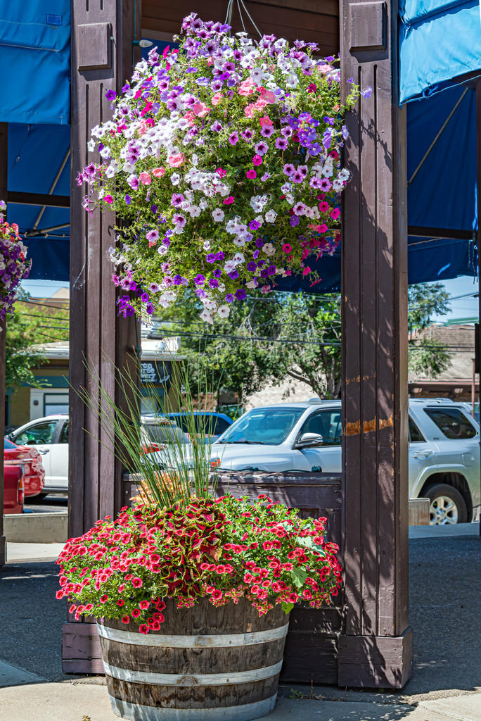 750_4221-HDR.jpg