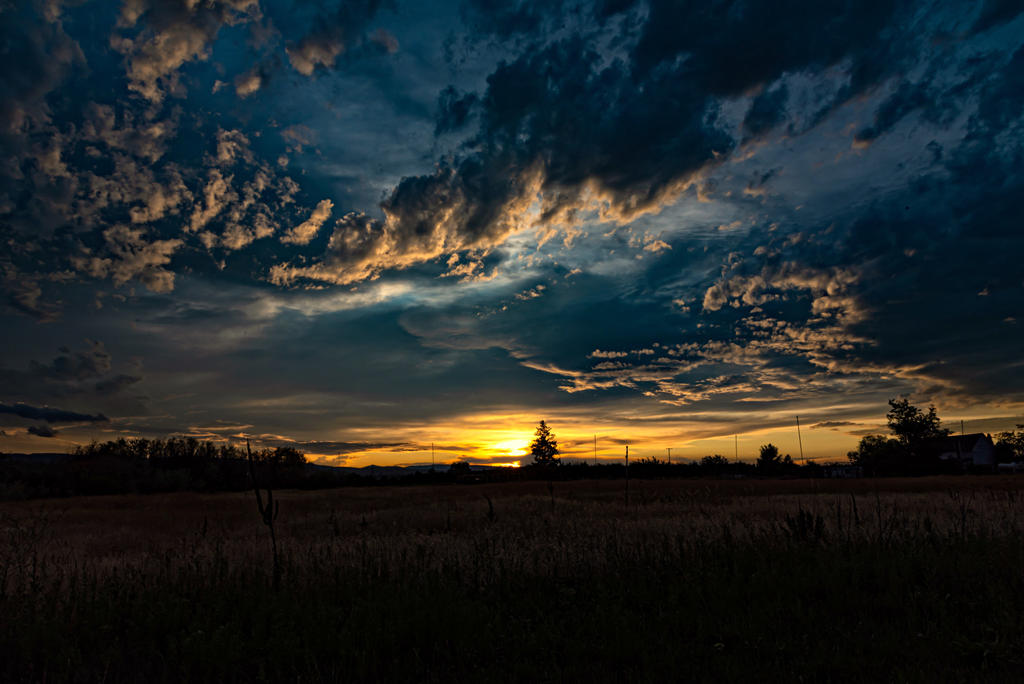 750_4455-Edit.jpg