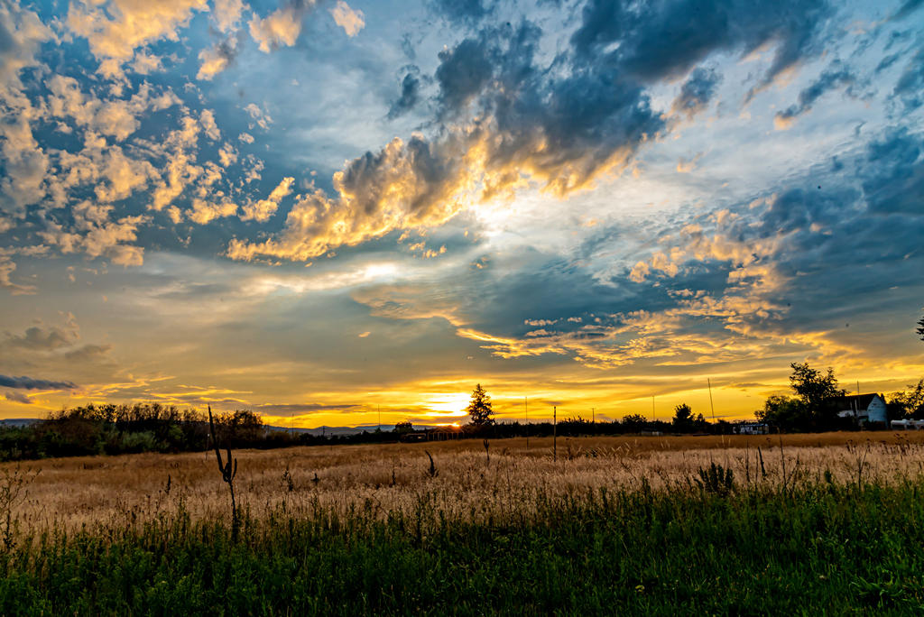 750_4469-Edit.jpg
