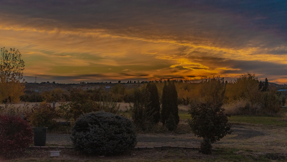 750_4868-Edit.jpg