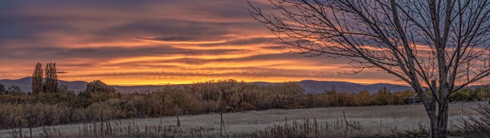 750_4882-Pano-Edit.jpg