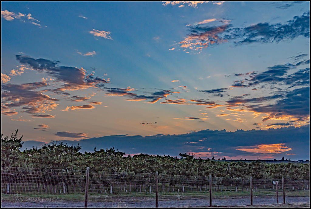 750_5319-Edit.jpg