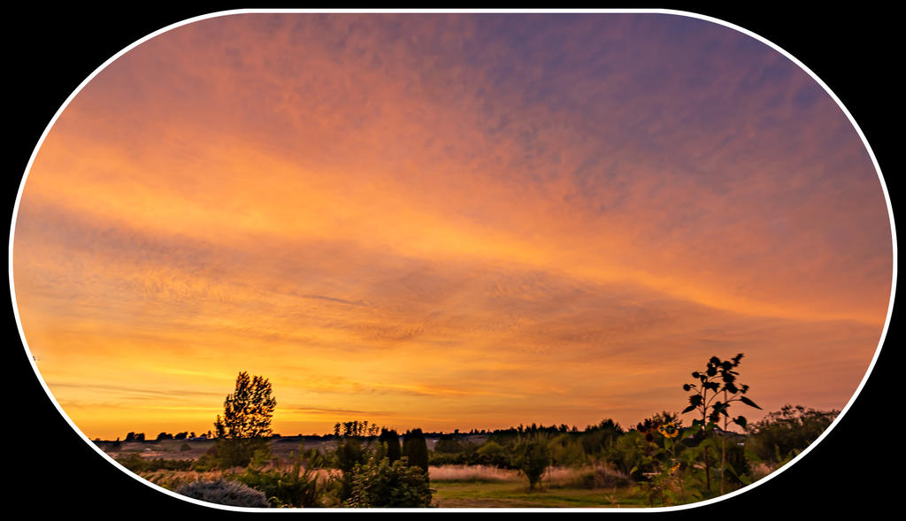 750_5455-HDR.jpg