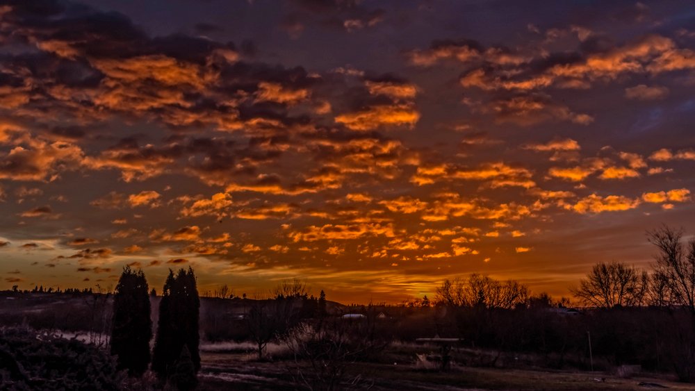 750_5728-Edit-001.jpg