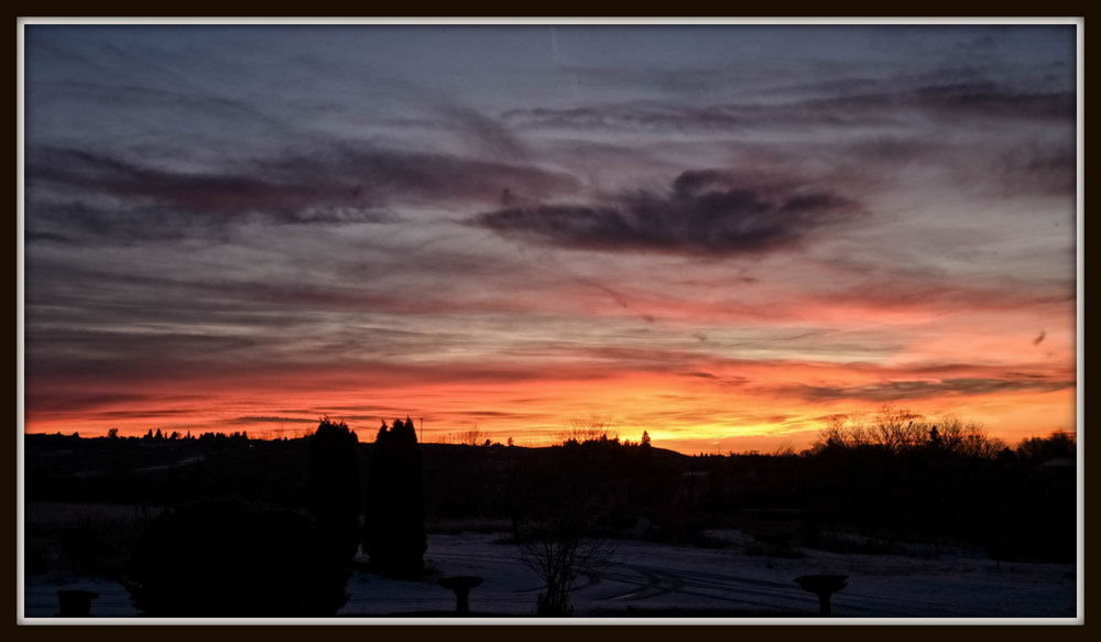 750_6530-Edit.jpg