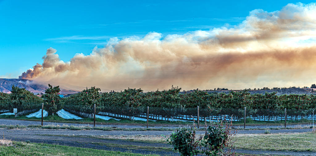 750_6532-Pano-Edit.jpg