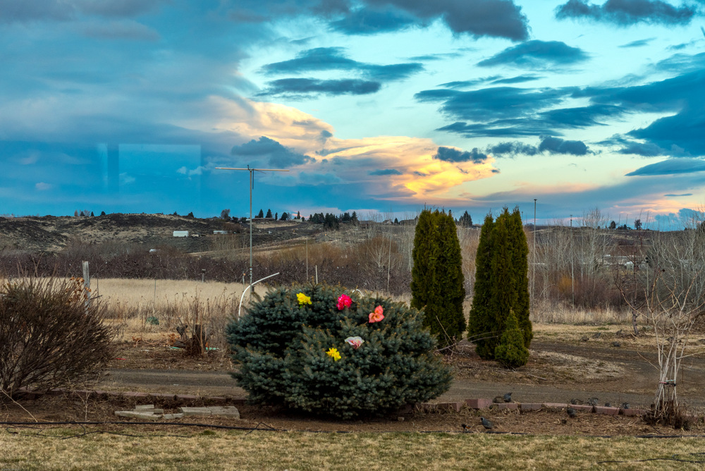 750_7491.jpg