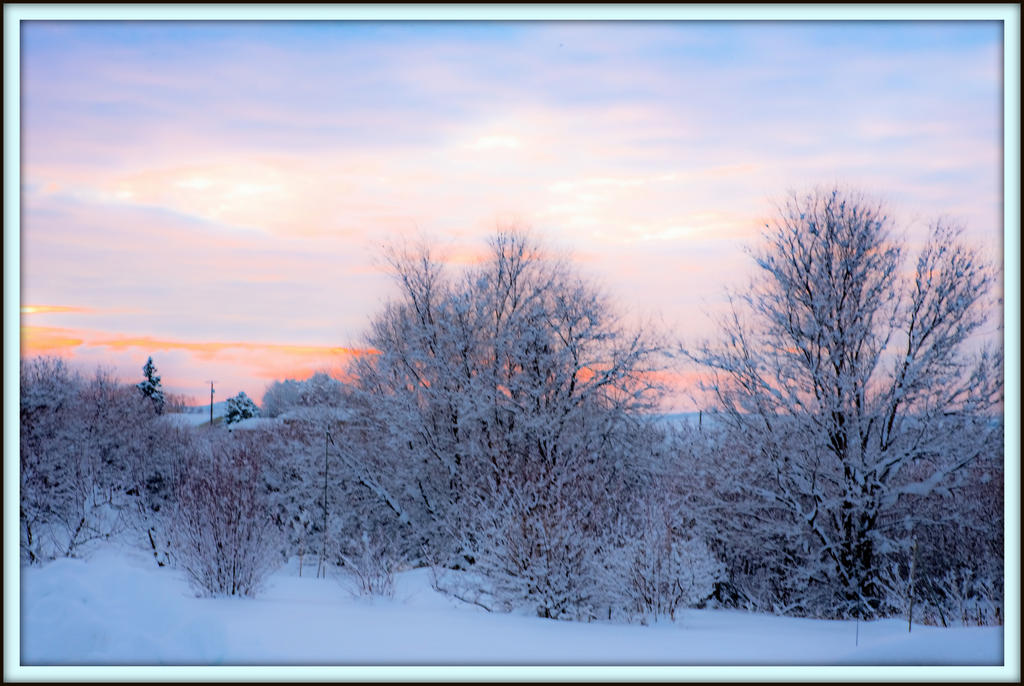750_7544-Edit.jpg