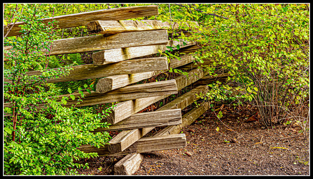 750_7643-Edit.jpg
