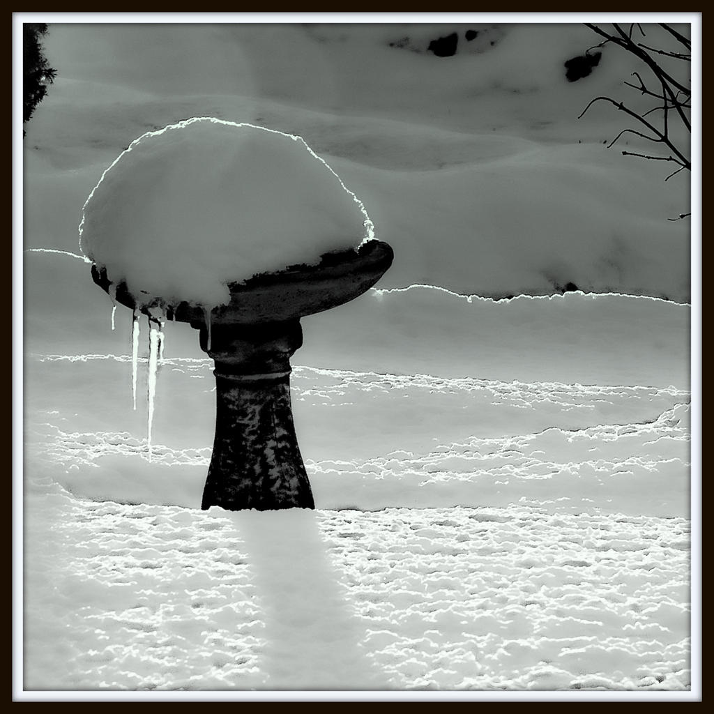 750_7798-Edit.jpg
