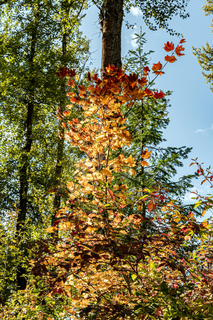 750_7959-HDR.jpg