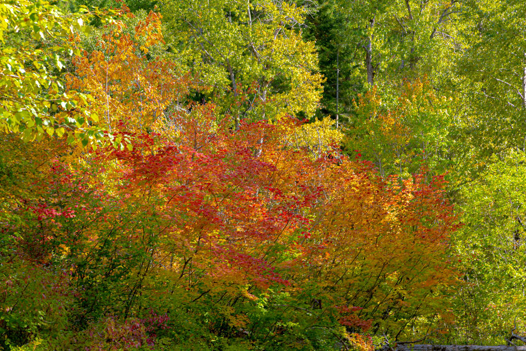 750_7974-HDR.jpg