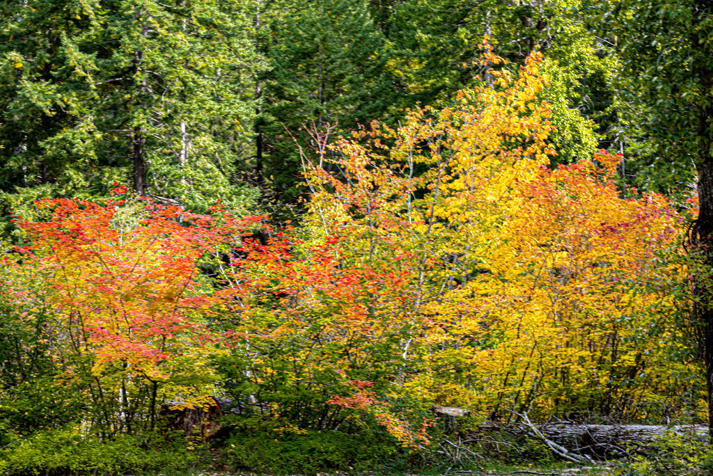 750_7979-HDR.jpg