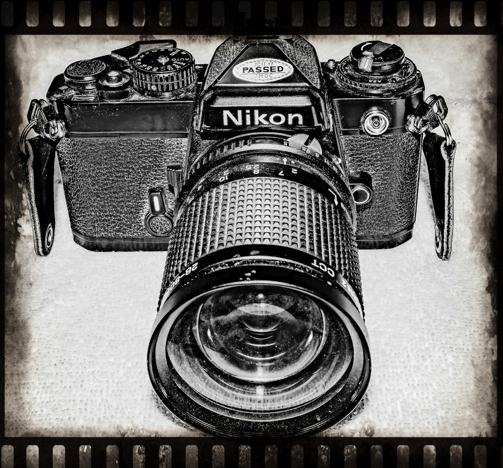 750_8151-Edit-Edit-Edit-Edit.jpg