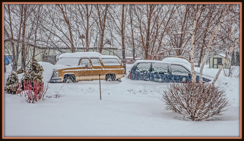 750_8187-Edit-003.jpg