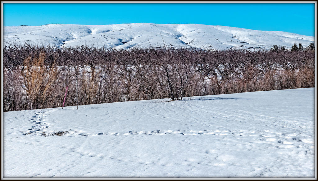 750_8623-Pano-Edit-Edit.jpg