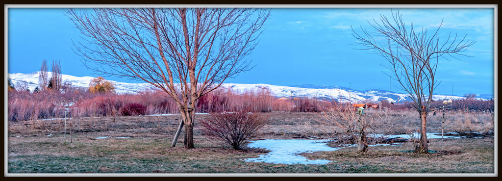 750_8889-Pano-Edit.jpg