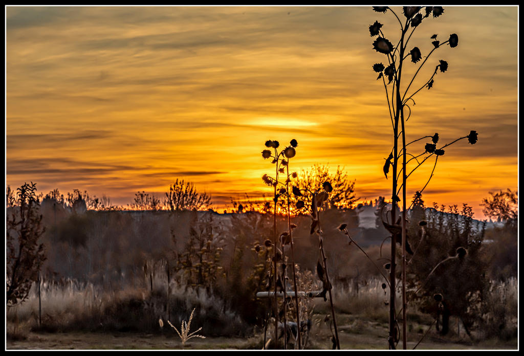 750_8936-HDR-Edit.jpg