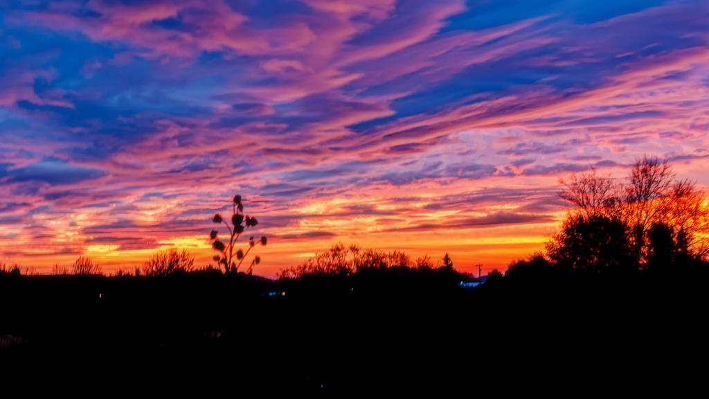 750_8969-Edit.jpg