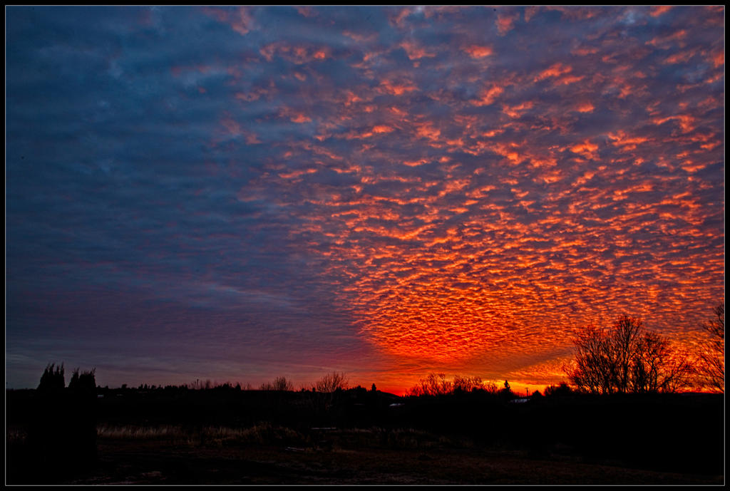 750_9327-Edit.jpg