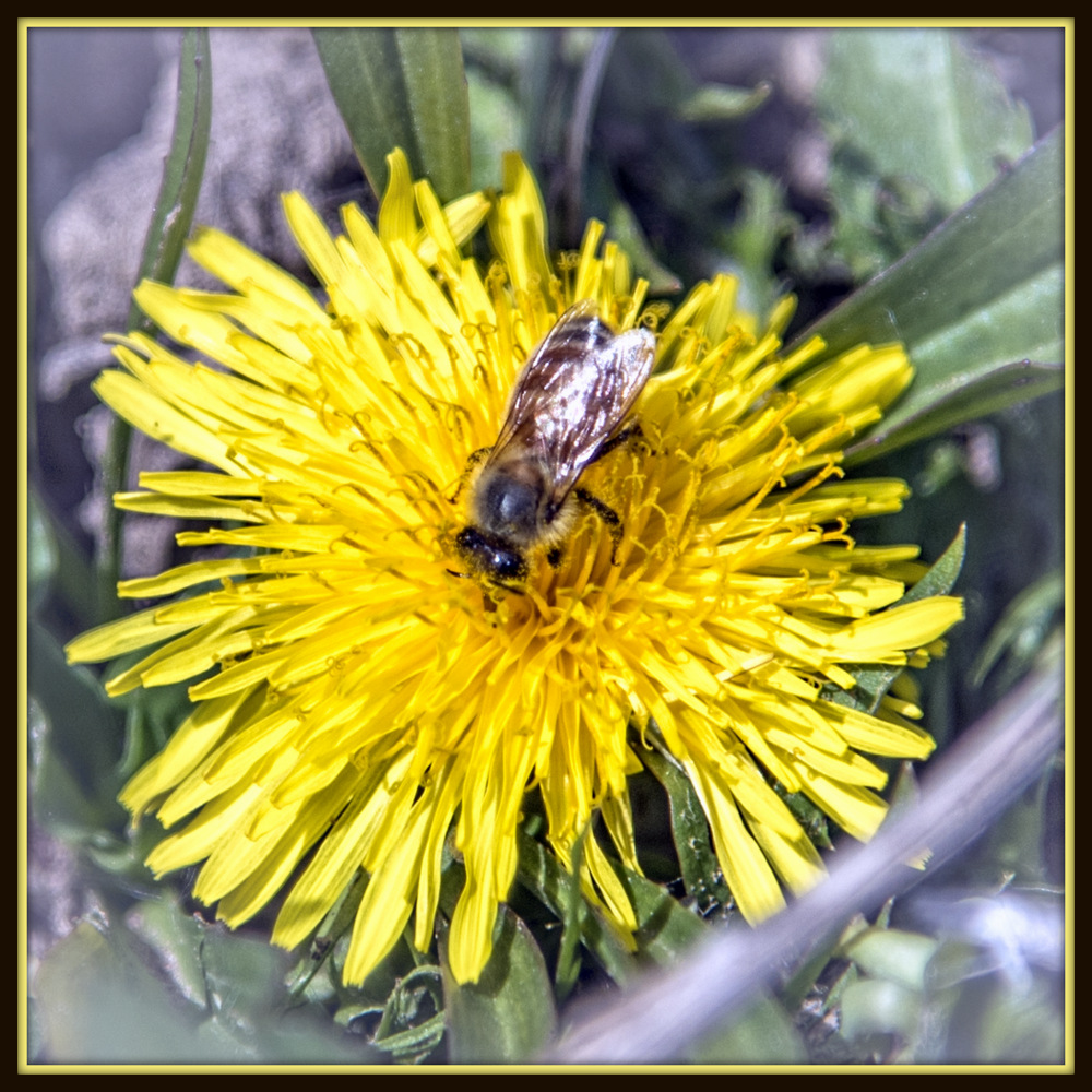 750_9333-Edit-2.jpg
