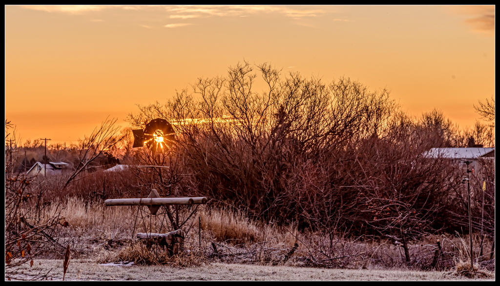750_9545-Edit.jpg