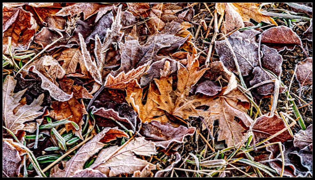 750_9587-Edit.jpg
