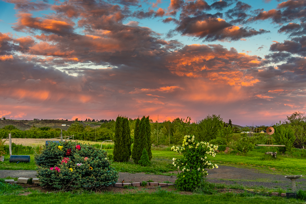 750_9647-HDR.jpg