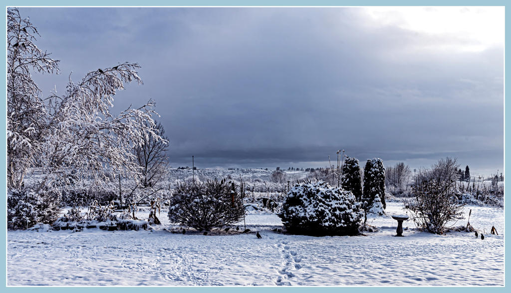 750_9694-Edit.jpg