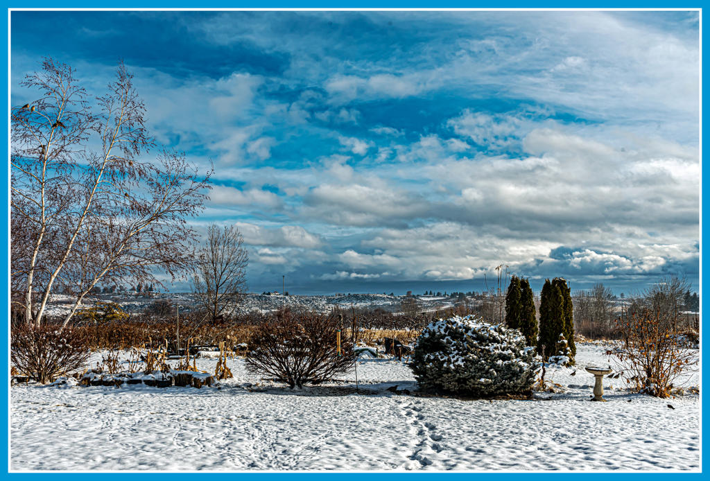 750_9706-Edit.jpg