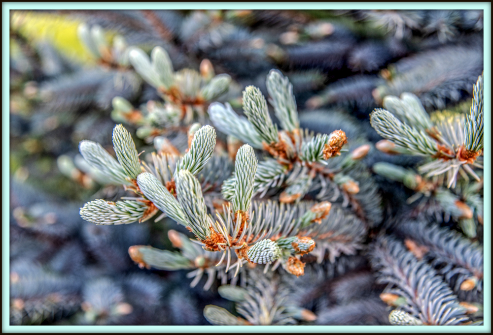 750_9773-Edit.jpg