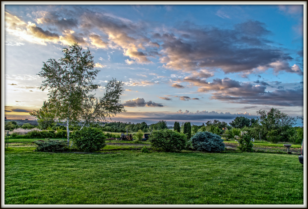 750_9796-Edit.jpg