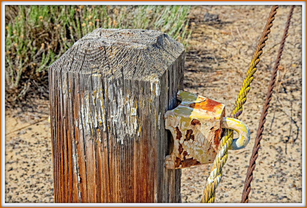 750_9933-Edit.jpg
