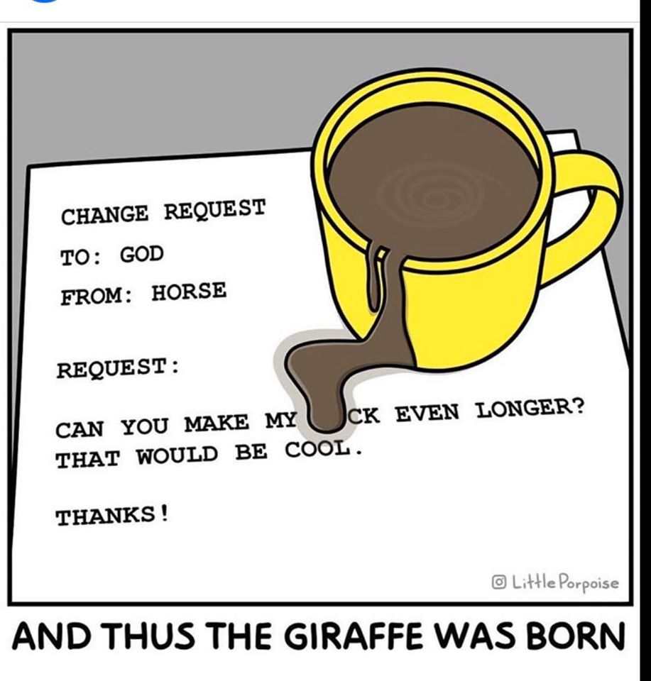 75339686_2501625643290074_8166805765596643328_o.jpg