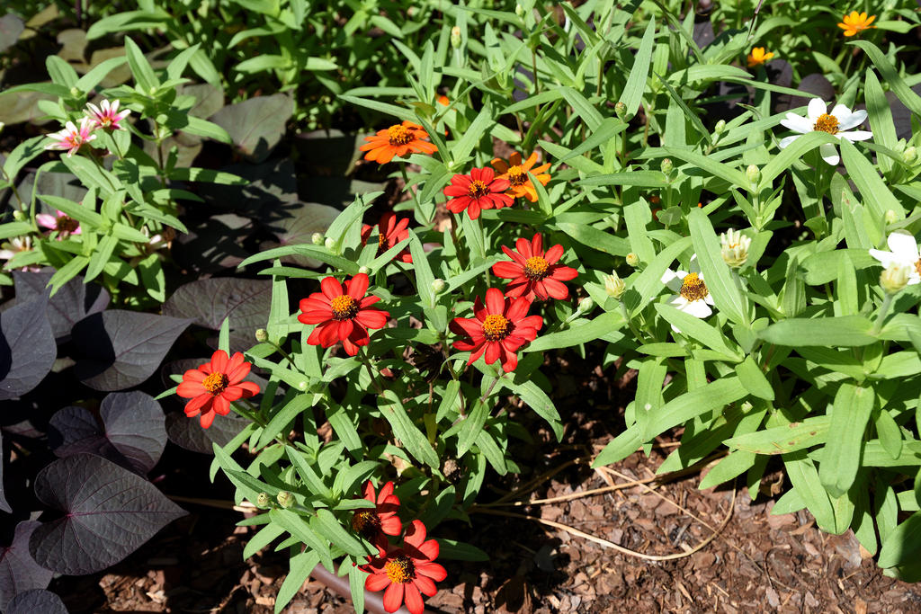 75F_0188_01_sm.jpg