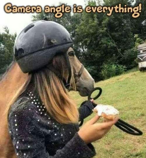 78645831_3064403833576890_6350622193864409088_n.jpg