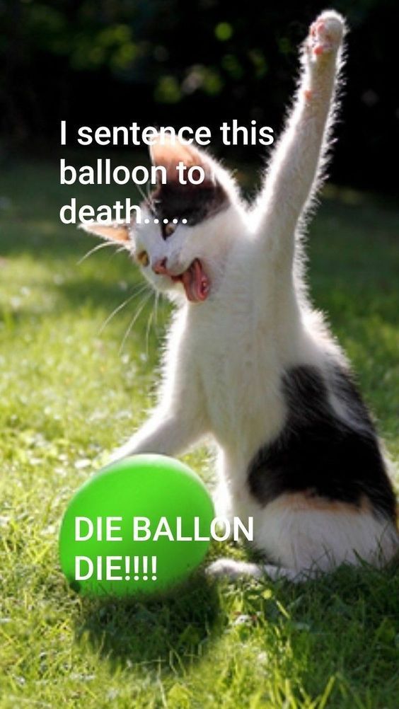 7F573993-9DBD-4F55-9A4B-42D97936EF75.jpeg
