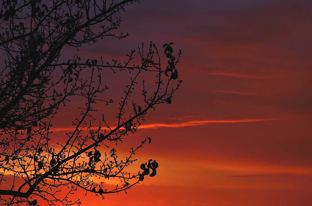 7th Jan 2014 030.JPG