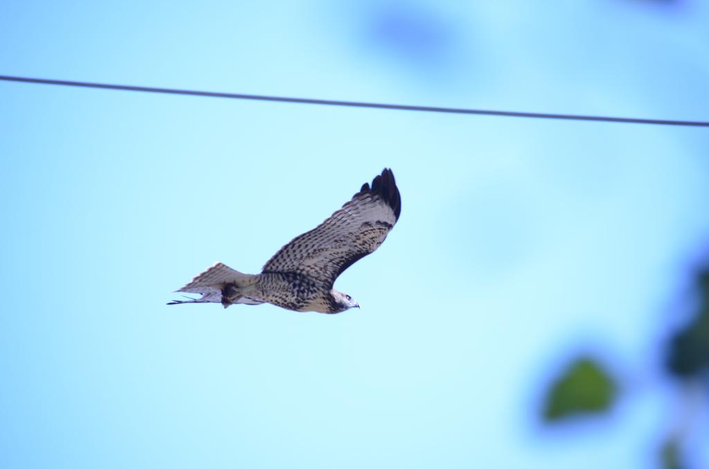 7th July 2013 038.jpg