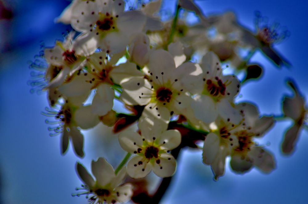 7th Mar 2014 039.JPG