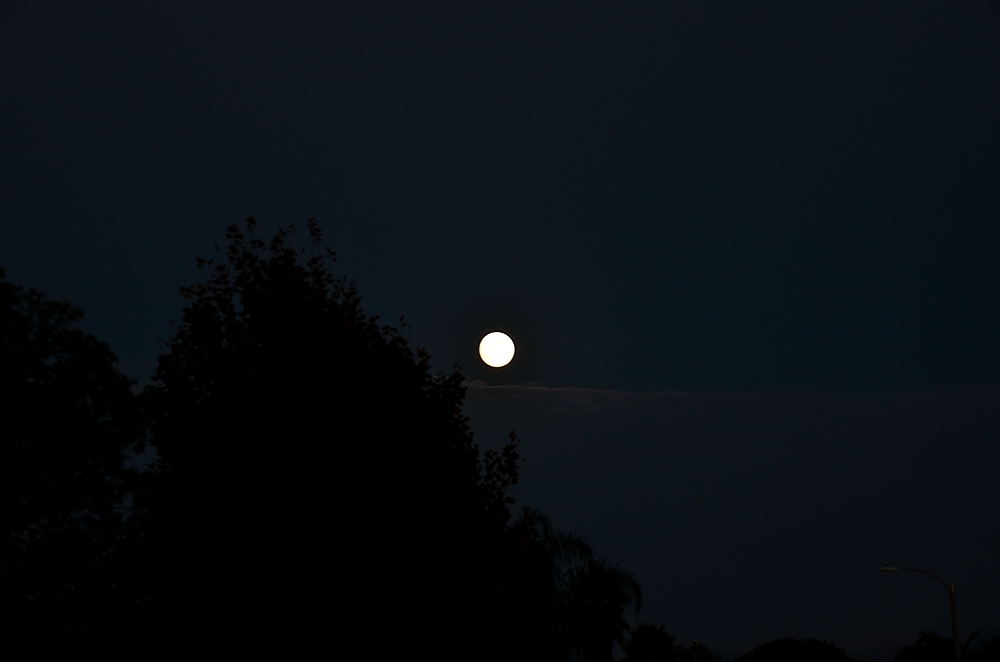 7th Oct 2014 003.JPG