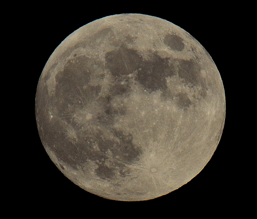 7th Oct 2014 005.JPG