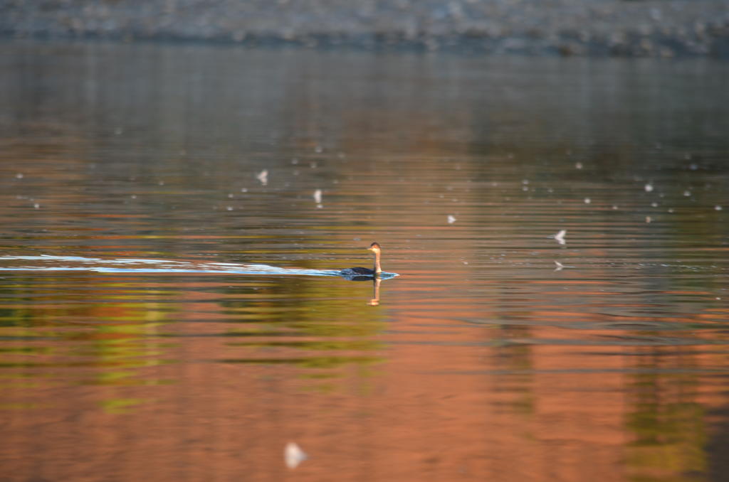 7th Sept 2013-2 082.jpg
