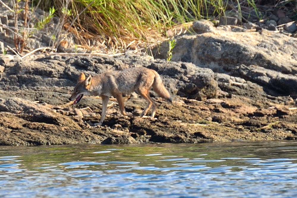 7th Sept 2014 082.JPG