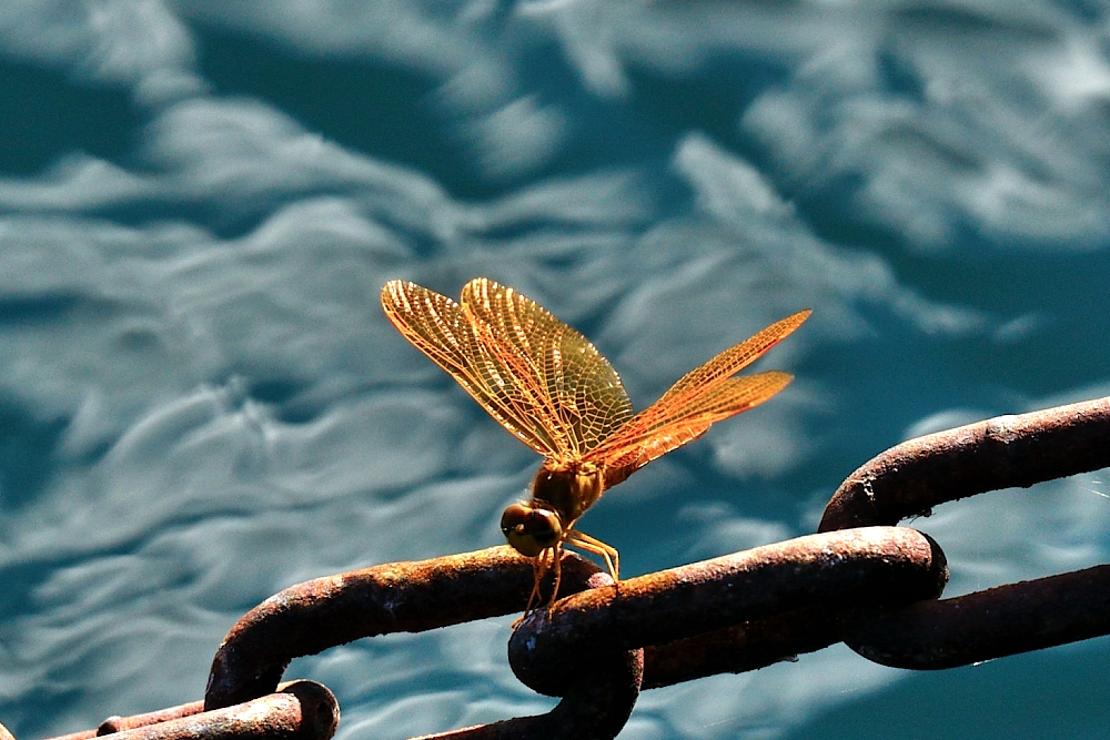 7th Sept 2014 084.JPG